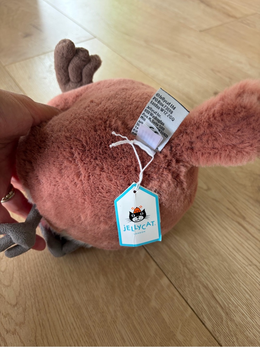Jellycat Plush Robin in Red, Brown & Cream - Picture 5 of 5